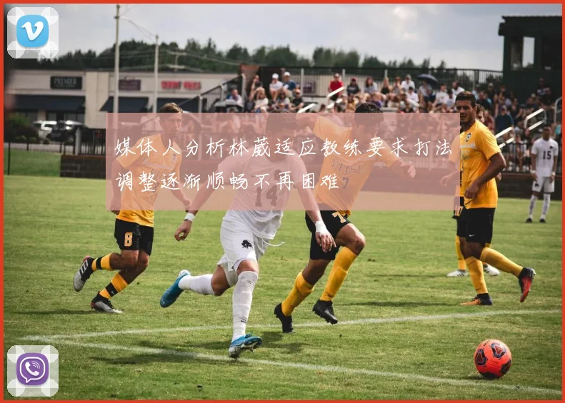 媒体人分析林葳适应教练要求打法调整逐渐顺畅不再困难