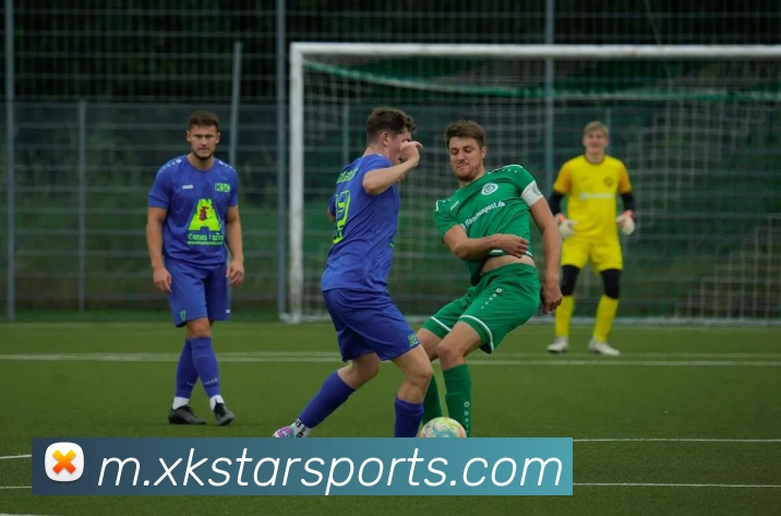 星空体育平台生态图