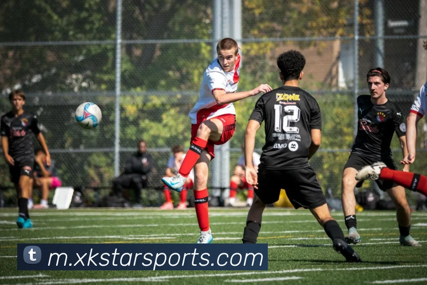 星空体育APP 封面图